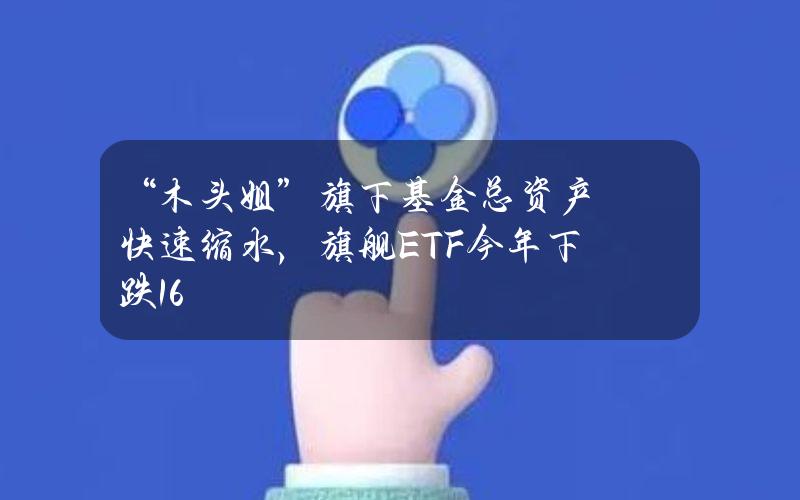 “木头姐”旗下基金总资产快速缩水，旗舰ETF今年下跌16%