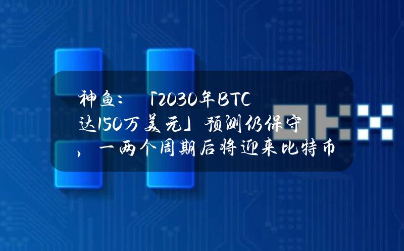 神鱼：「2030年BTC达150万美元」预测仍保守，一两个周期后将迎来比特币大规模应用爆发