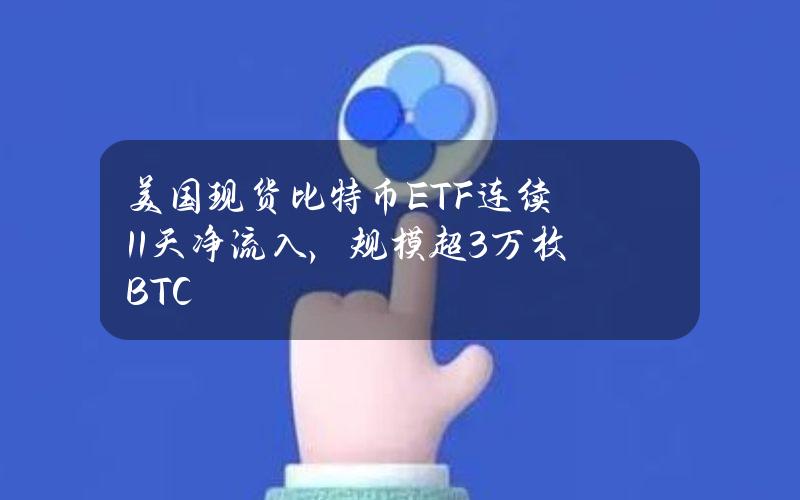 美国现货比特币ETF连续11天净流入，规模超3万枚BTC