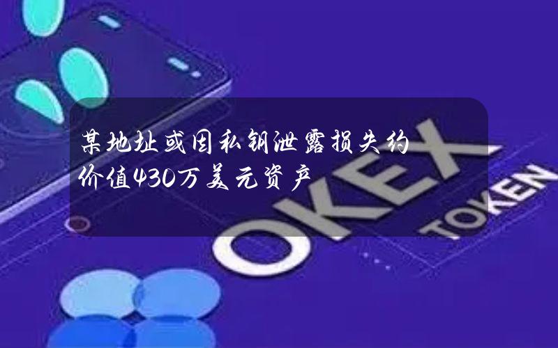 某地址或因私钥泄露损失约价值430万美元资产