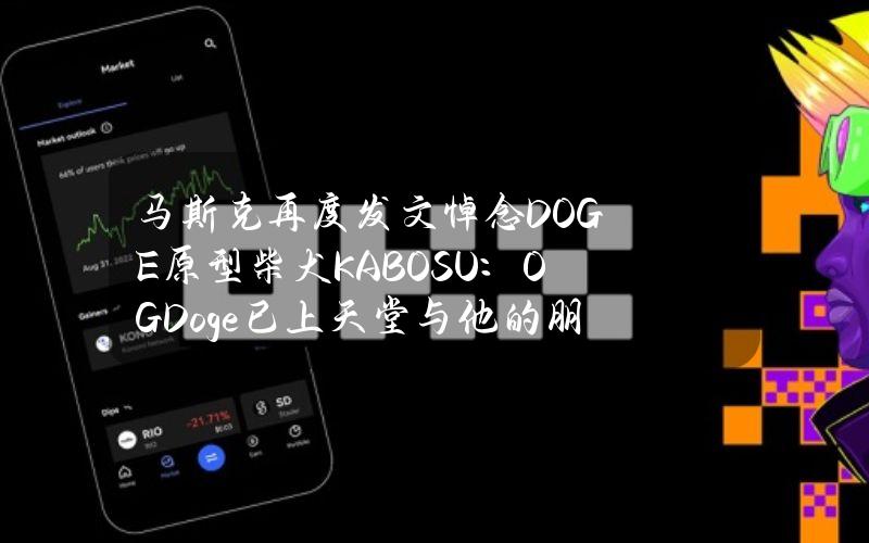 马斯克再度发文悼念DOGE原型柴犬KABOSU：OGDoge已上天堂与他的朋友Harambe团聚