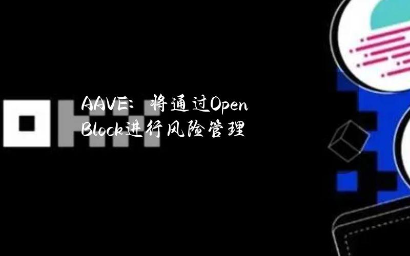 AAVE：将通过OpenBlock进行风险管理