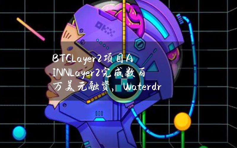 BTCLayer2项目AINNLayer2完成数百万美元融资，WaterdripCapital等参投